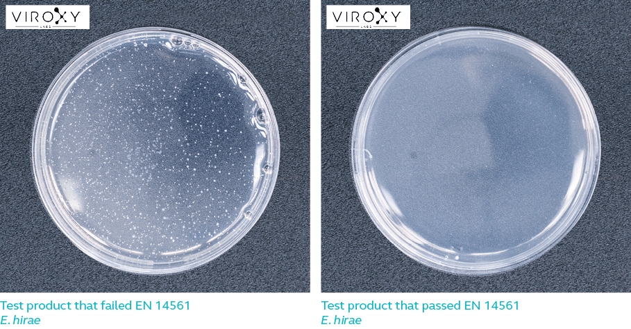 Difference between test product that pass & fail EN 14561 for E. hirae 