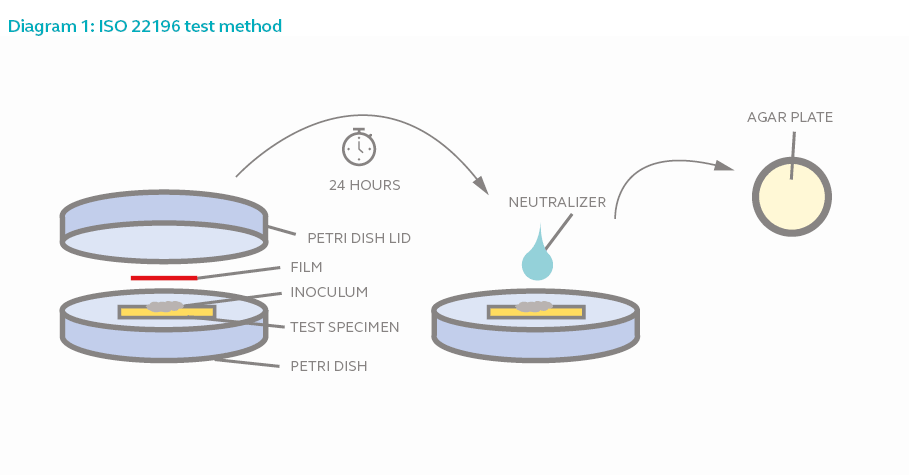 Diagram 1: ISO 22196 test method 