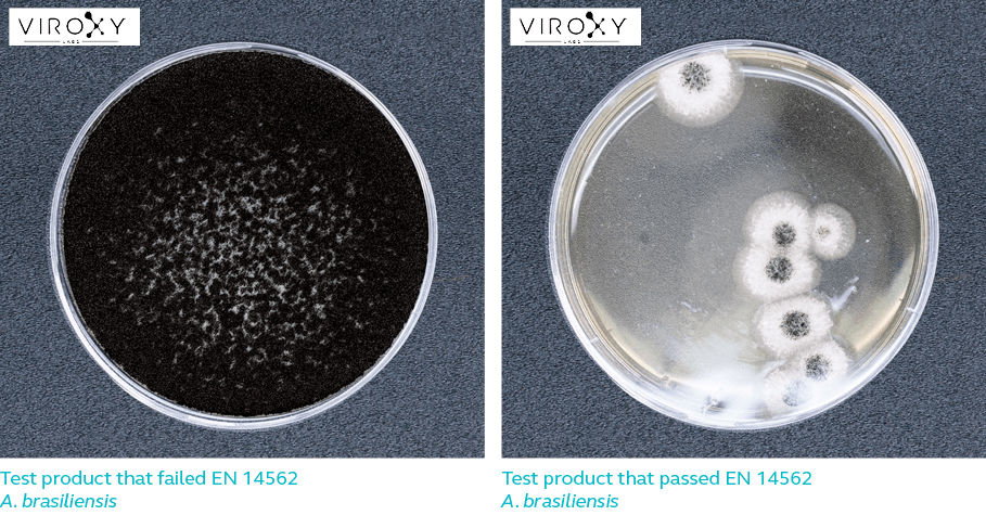 Difference between test product that pass & fail EN 14562 for A. brasiliensis