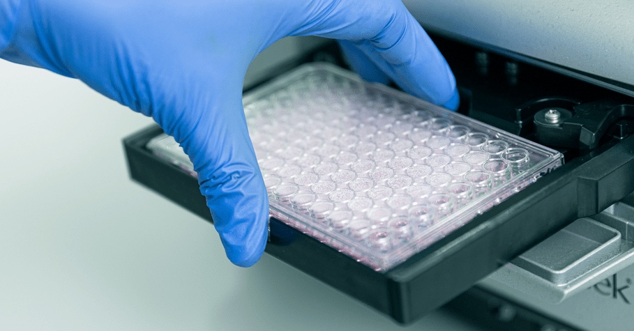 Personnel placing microplate into microplate reader