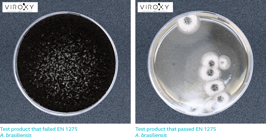 Difference between test product that pass & fail EN 1275 for A. brasiliensis