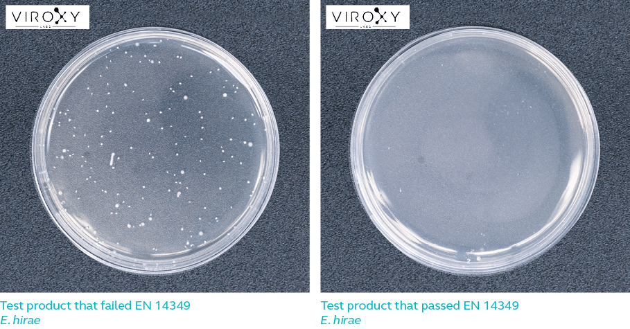 Difference between test product that pass & fail EN 14349 for E. hirae